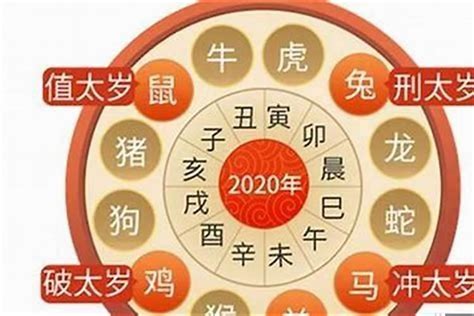 属虎人2023年运势|属虎人2023年全年运势运程详解